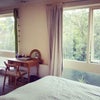 20min London Centre, light & airy, Green Spaces .. Main Photo