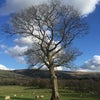Brilliant Mountain Location near Brecon Main Photo