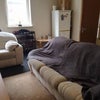 Room available in west end/town centre flat Main Photo