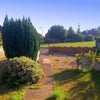 Sunny double room house on green avail. 25 October Main Photo