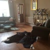 Cheltenham quiet let good value Main Photo