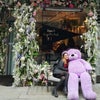 Professional Female seeks a single or double room Main Photo