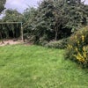 Room for Rent in Country Cottage Main Photo