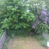 Double Room - Headingley/Burley border - Bills Inc Main Photo