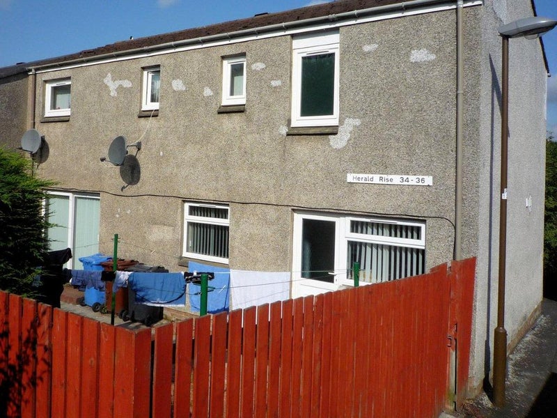 back garden