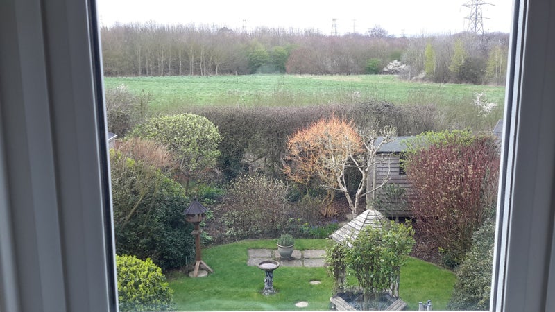 Photo 1: Garden