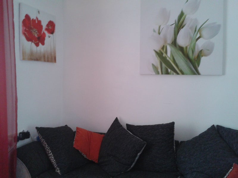Photo 1: