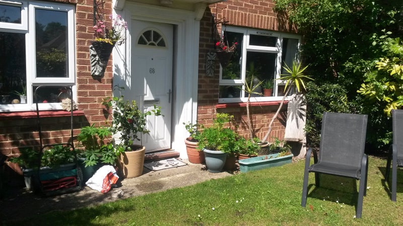 Photo 1: Front Garden