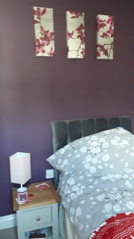Photo 1: Single room