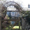 Main photo