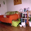 Main photo