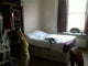Flat share Hyde Park