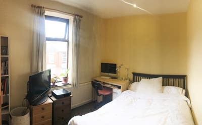 Crookes:high quality, lovely garden, all inclusive Main Photo