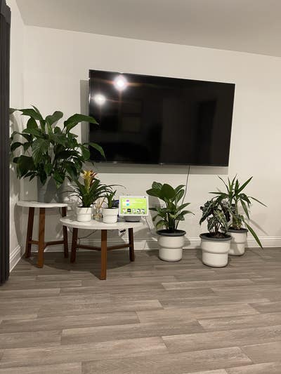 Double Rooms - Single Occupancy Main Photo