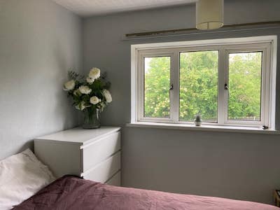 Peaceful flat surrounded by greenbelt: Double room Main Photo
