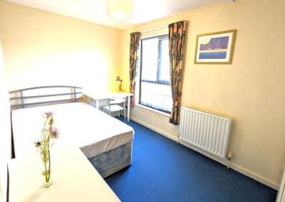 Lovely Double Room in Great House Share Main Photo