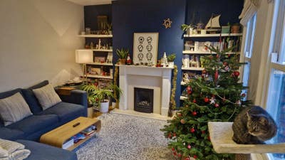 Bright and spacious 1 bed flat + cat = for 2 weeks Main Photo
