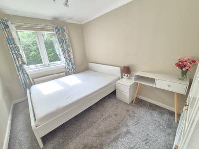 Double room to rent (Females only) Main Photo