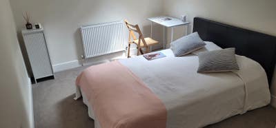 Room to let Main Photo