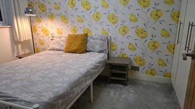 Room to rent with parking (pets allowed) Main Photo