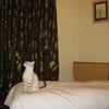 Short term 4th - 30th July only single room Main Photo