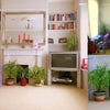 S/bed flatshare in lovely split floor maisonette Main Photo