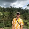 young professional seeking city centre room Main Photo