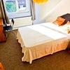 Double room, close to centre, St Andrews Park Main Photo