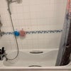 Single Room available in a 3 Bedroom Flat Main Photo