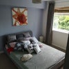 Luxary double room overlooking Herschel Park Main Photo