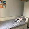 Single bedroom in Charminster Main Photo