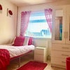 Fab, clean, room for rent. Main Photo
