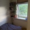 Single Room available in Large house with garden Main Photo