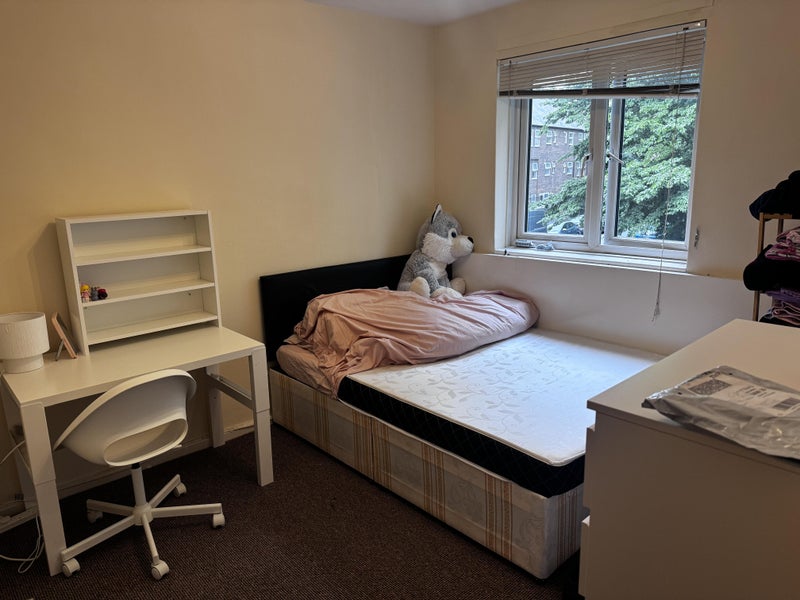 Photo 1: Room 