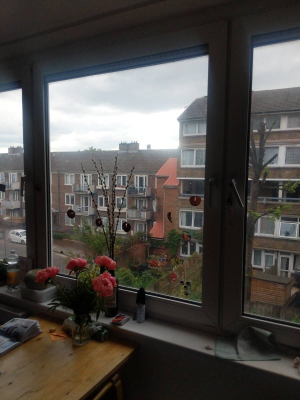 Photo 1: view from kitchen window