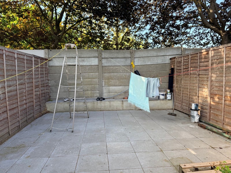 Photo 1: Backyard 