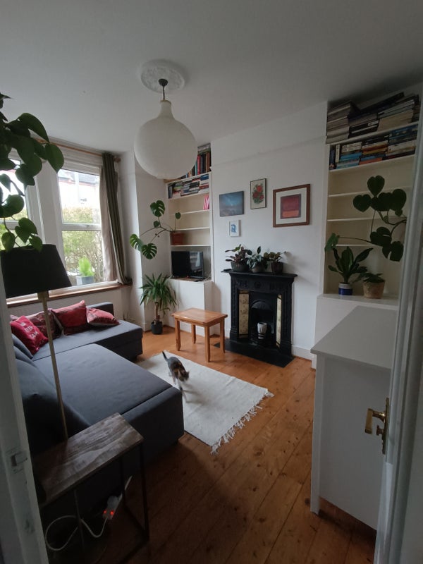 Photo 1: Room