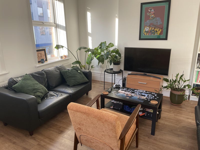 Photo 1: living room (and our plant babies)