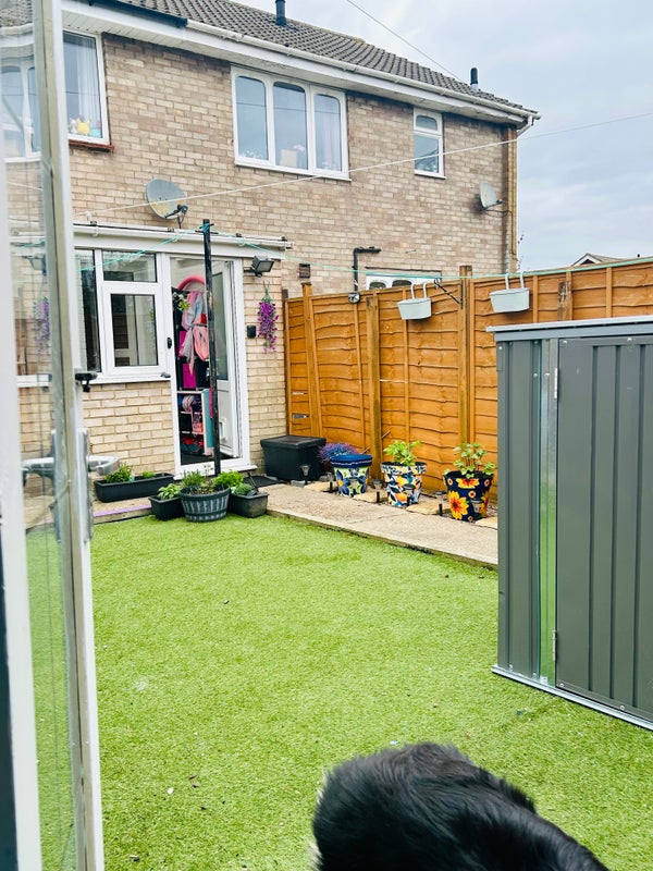 Photo 1: Back garden