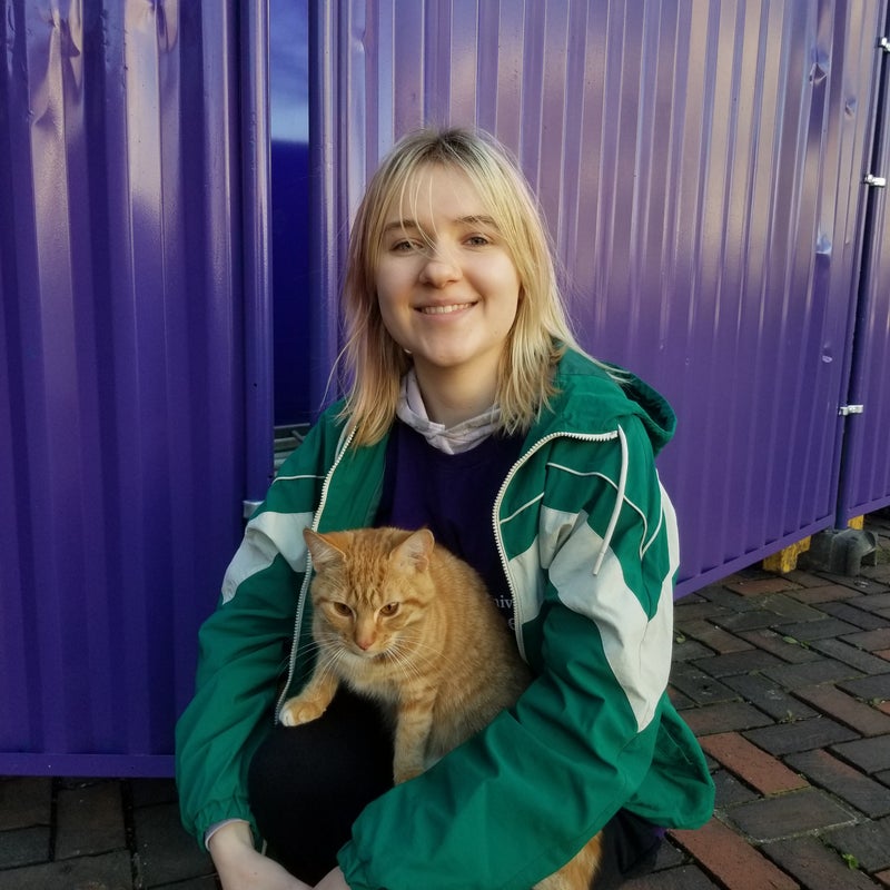 Photo 1: A cat jumped onto my lap as I was petting it