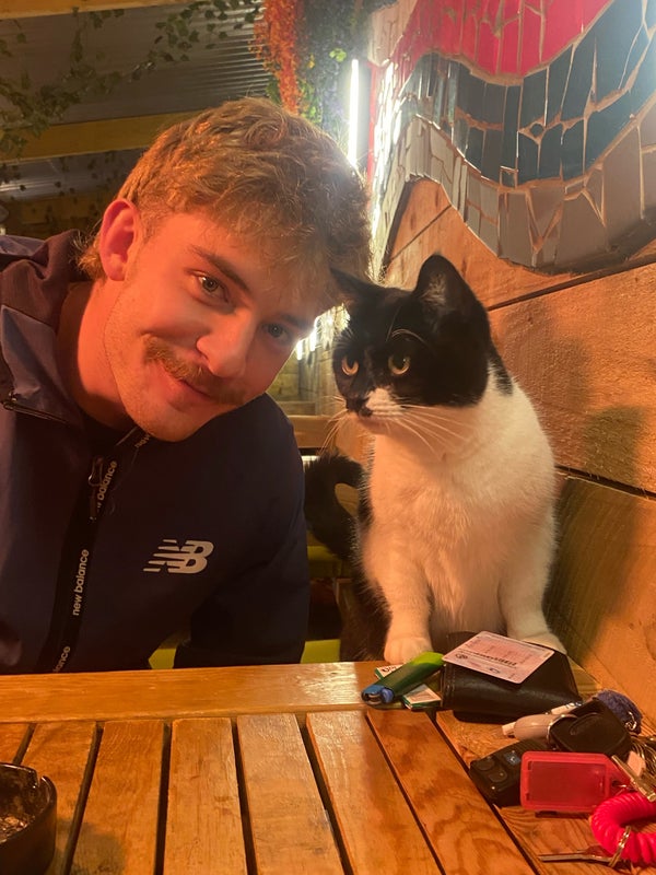 Photo 1: (Cat not included 😔)