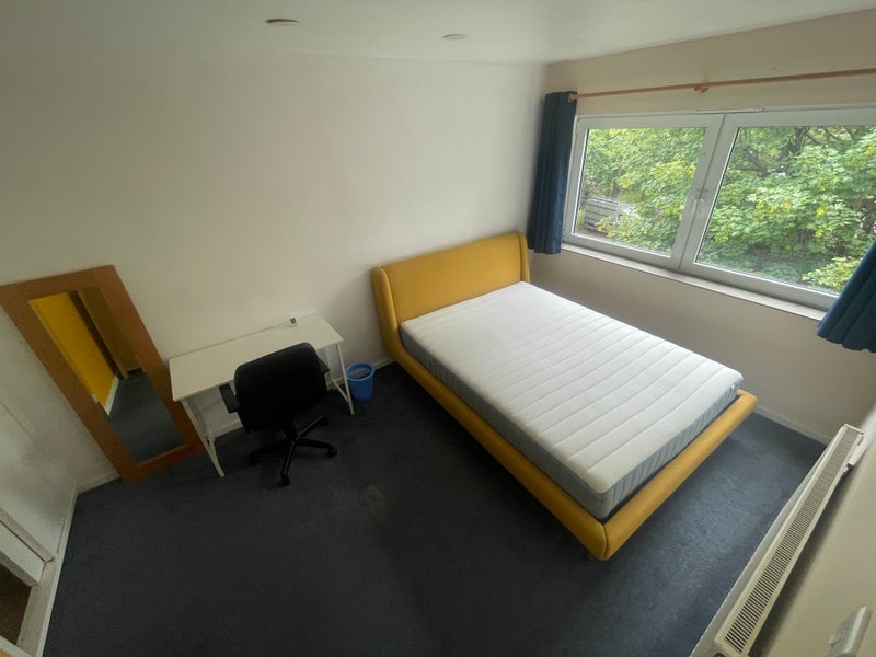 Photo 1: Spacious, bright, clean room
