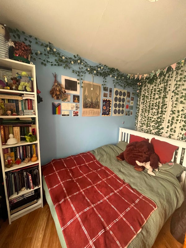 Photo 1: Room