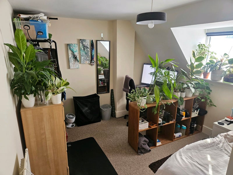 Photo 1: Bedroom