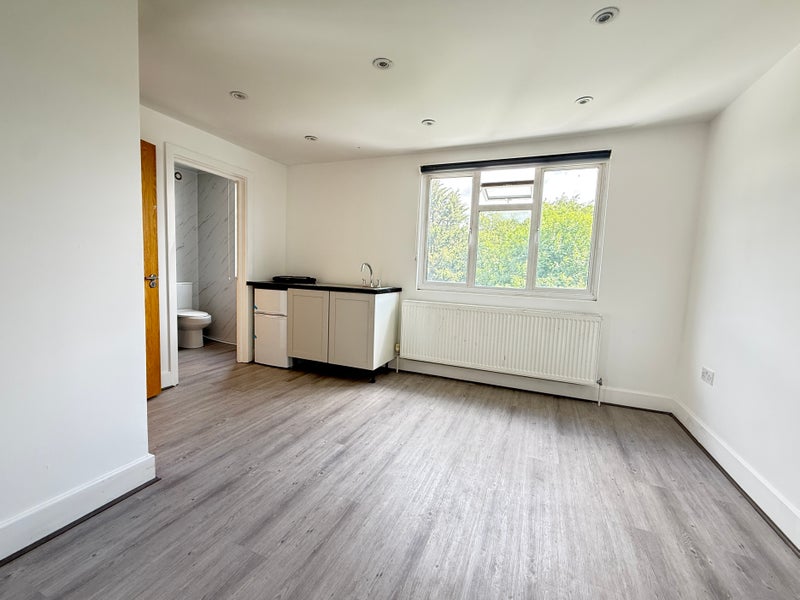 Photo 1: LARGE STUDIO