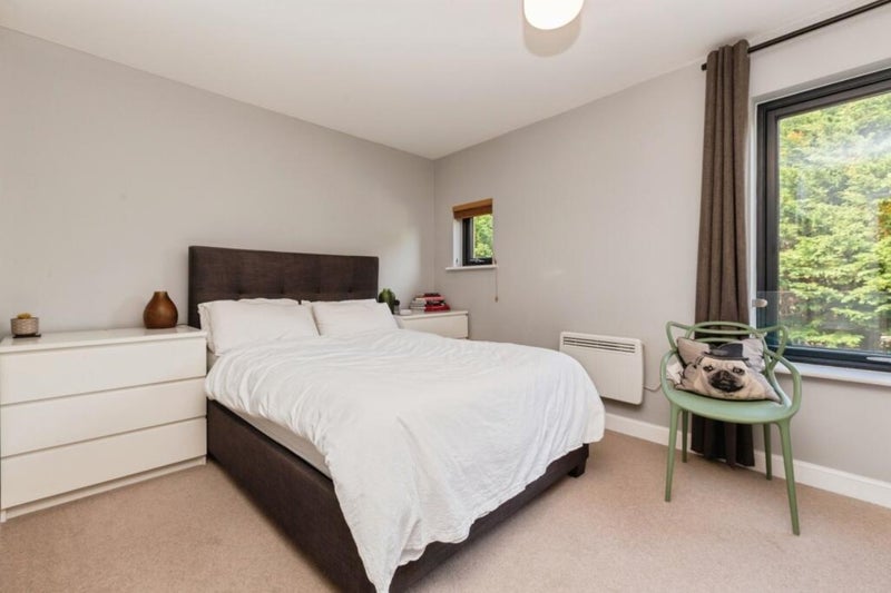 Photo 1: Room