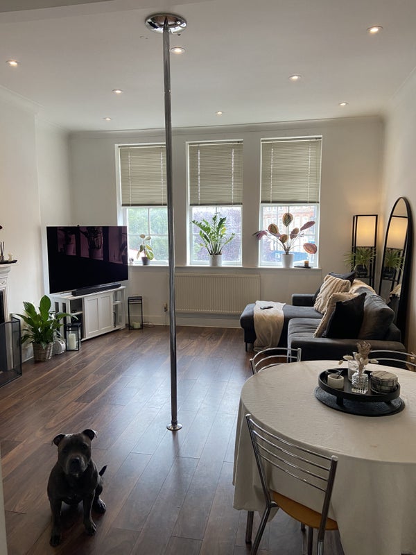 Photo 1: living room - we are still decorating some touches to the space. My dog wanted to say hello lol