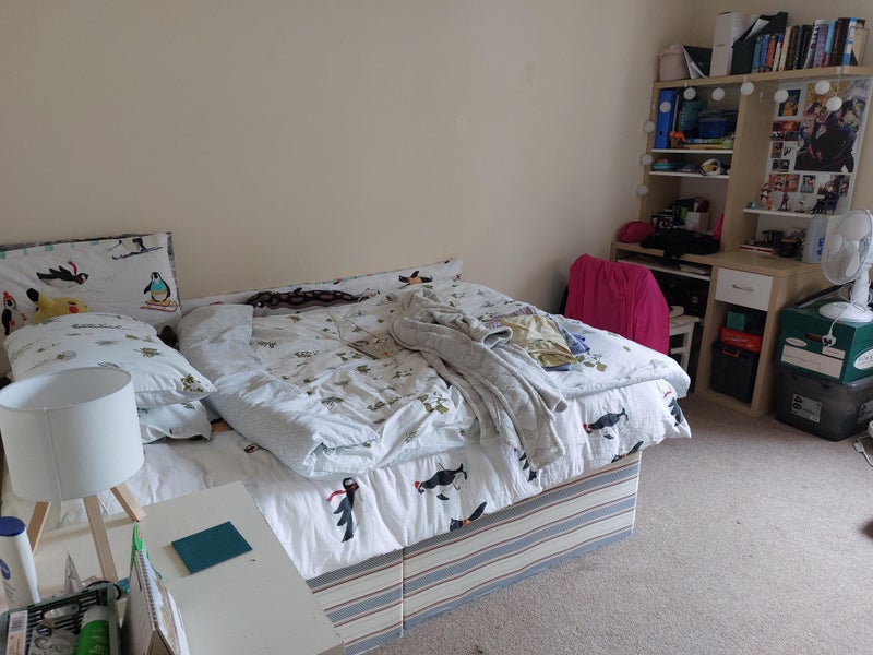 Photo 1: Bedroom