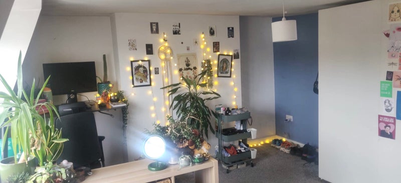 double room in Bristol (BS6) - Widok 4