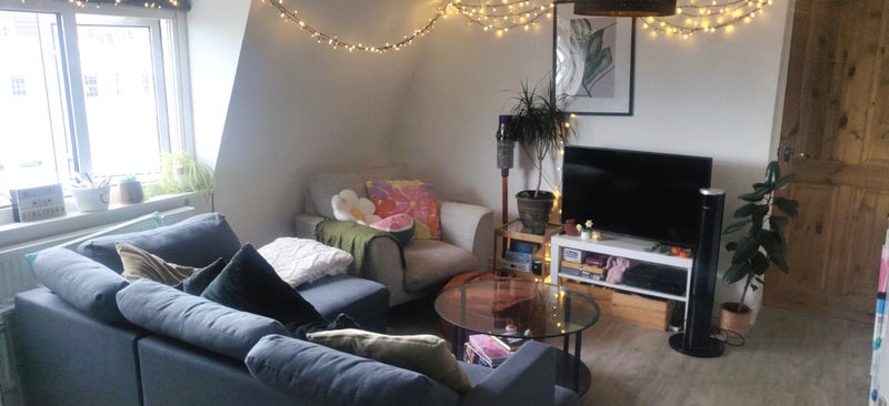 double room in Bristol (BS6) - Widok 6